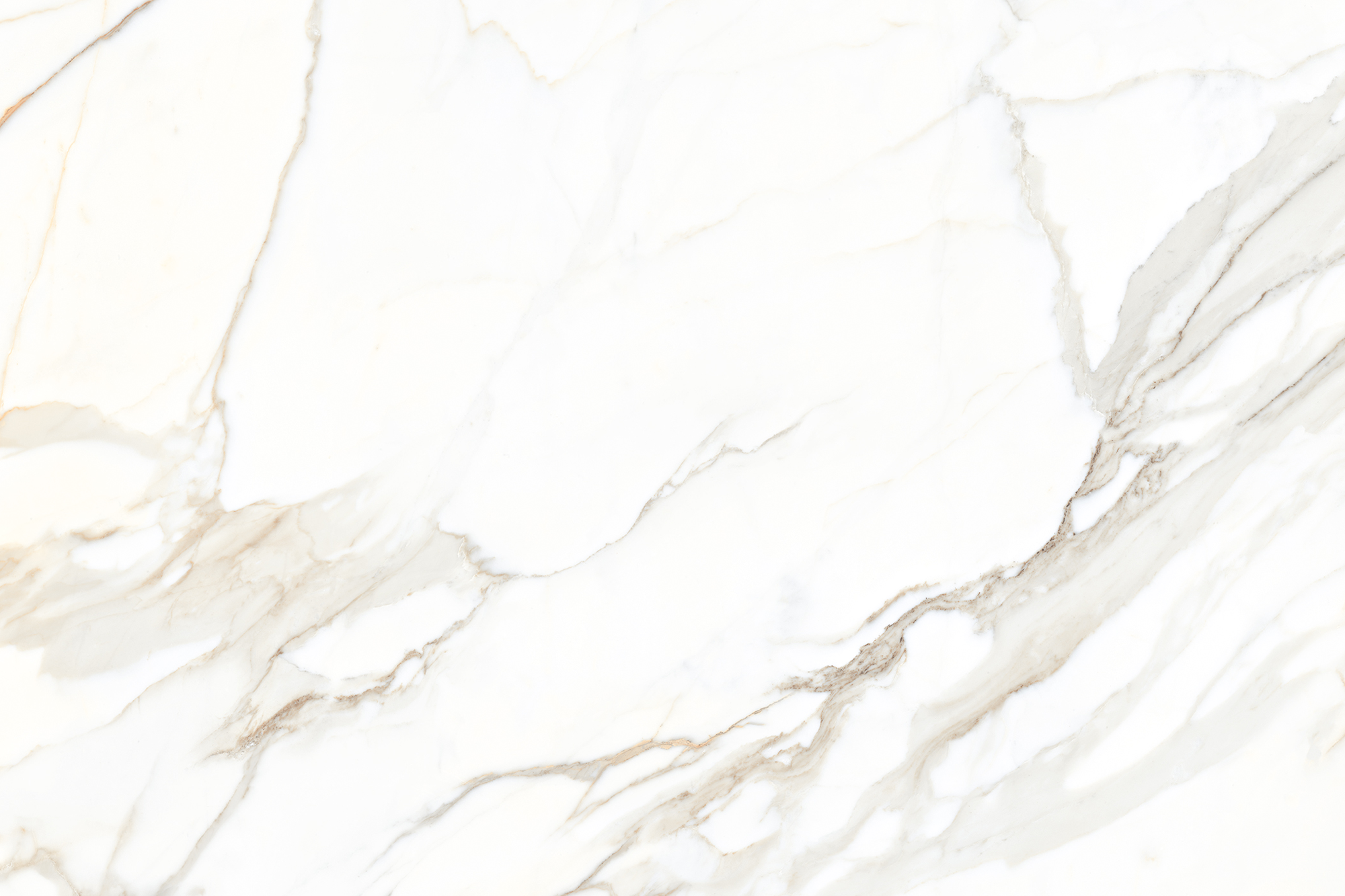 CARYSIL Aravalli Calacatta Borghini