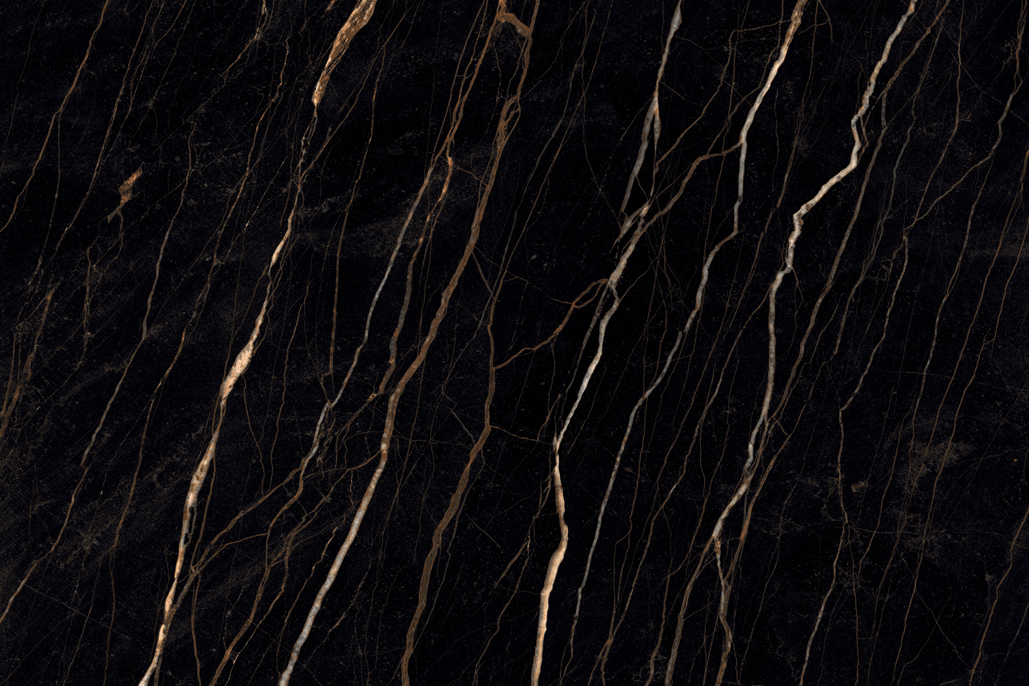 CARYSIL Aravalli D'oro Obsidian