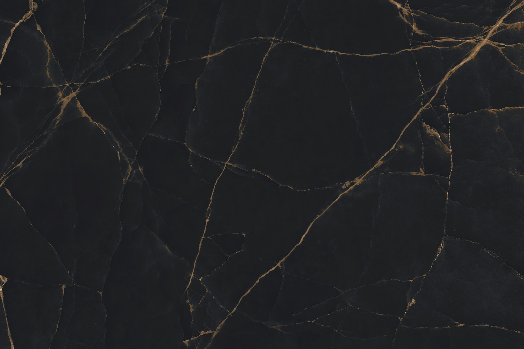 CARYSIL Aravalli Sahara Noir