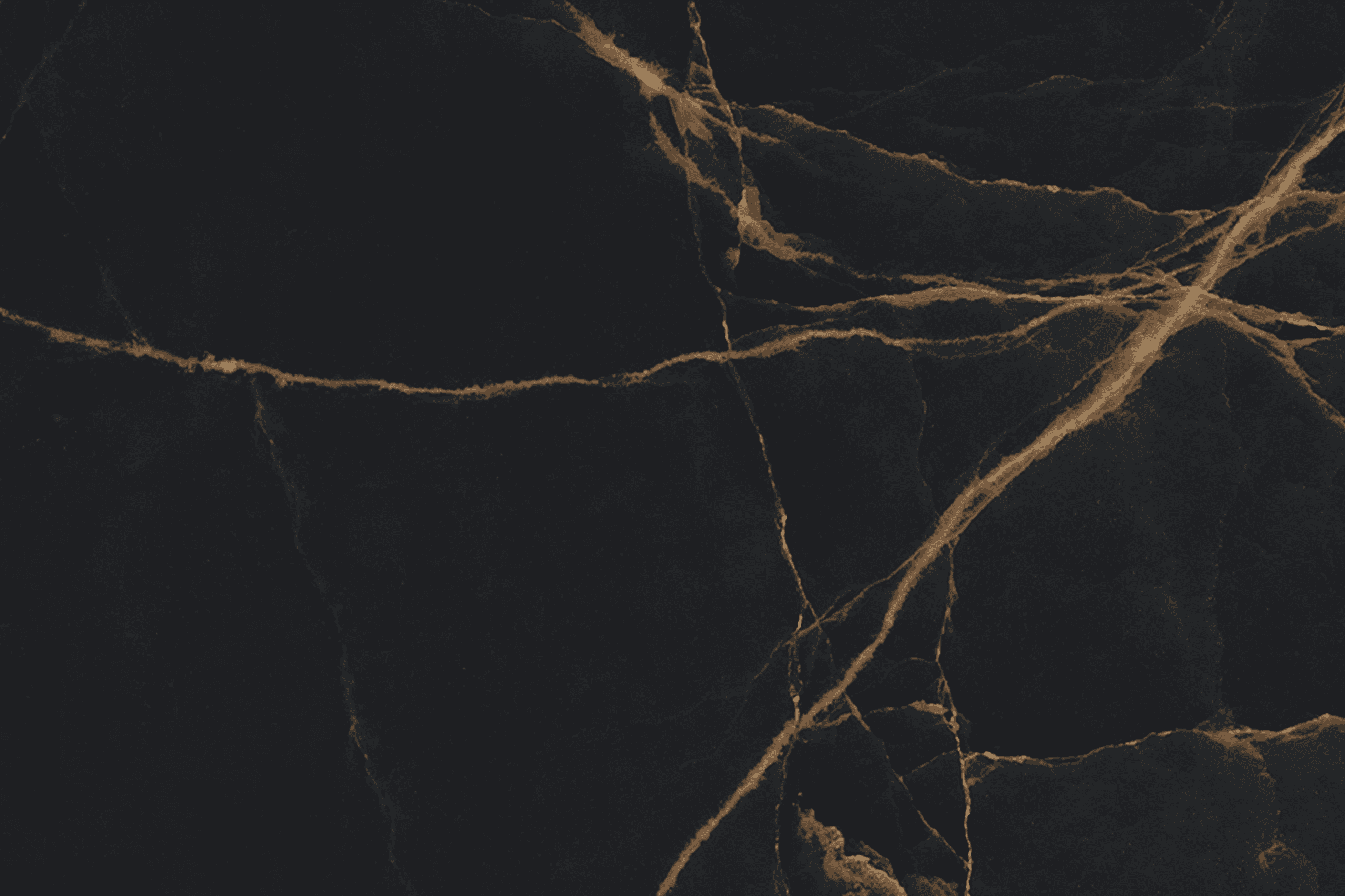 CARYSIL Aravalli Sahara Noir - Image 2